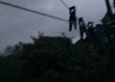 002C0E9F-B82A-46EF-A049-43EFEBA42840