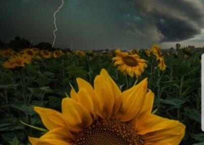 101398134_2846589785453801_2830866288287416320_o