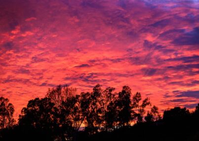 5e0e5435c92b3500089d57ad-eight