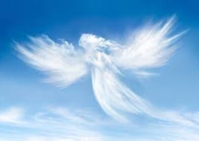 D1BF1E83-7877-4C0A-86D1-A7C5E311A60D