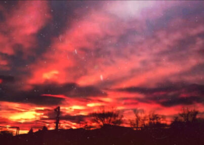 Polish_20200428_111958267