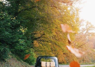 b70e9f809be21aadc9ced6d8216f0da7