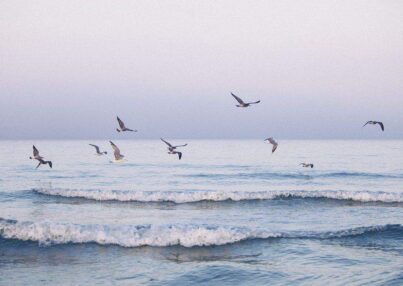 dffa3ddddba571165e6ed41d374c6a58