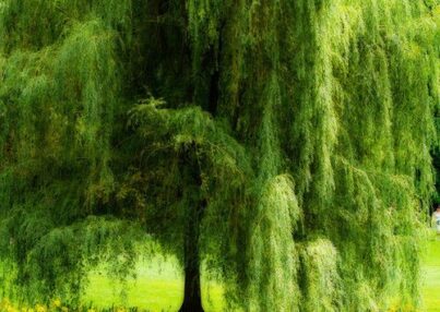 e7b4061128cc25ad7917b788e3a8133d