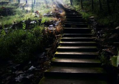 gray-concrete-stairs-leading-to-trees-999311