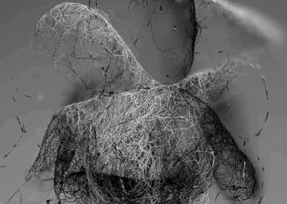 inbound4399508488554875590