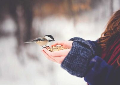 paige-cody-T_tAojyynCk-unsplash